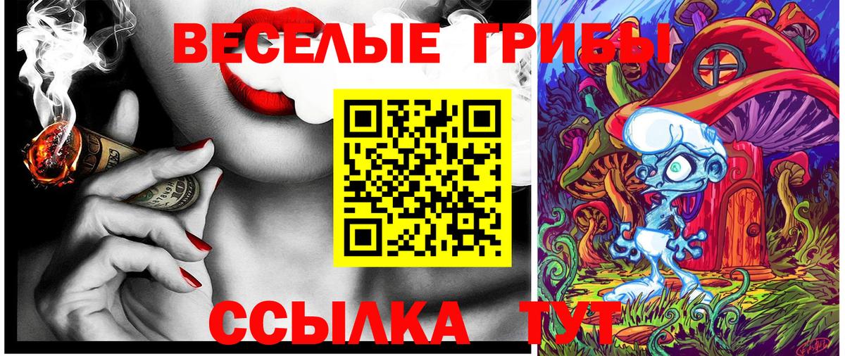 Псилоцибиновые грибы MAGIC MUSHROOMS  Псилоцибиновые грибы прущие грибы  Прокопьевск  Вход с VPN 