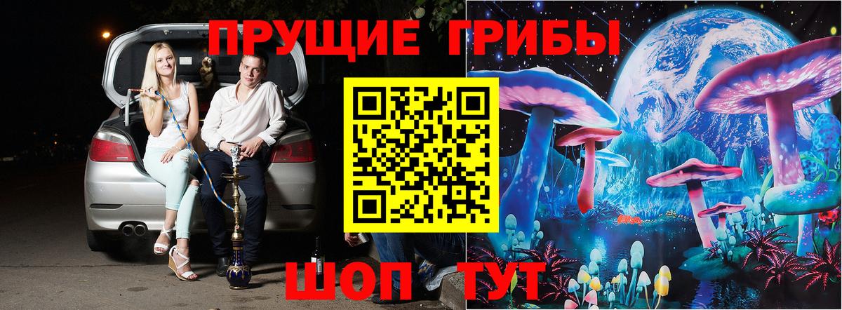 Галлюциногенные грибы Cubensis Прокопьевск